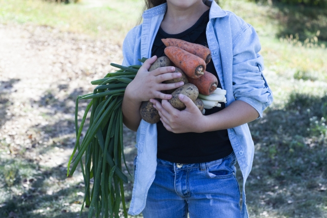収穫した野菜を抱える子ども