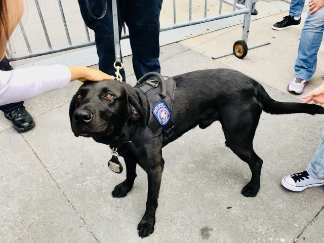 アメリカの警察犬